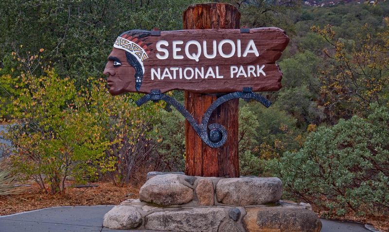 Национальный Парк Секвойя