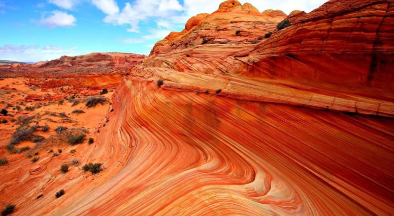 Скалы волна