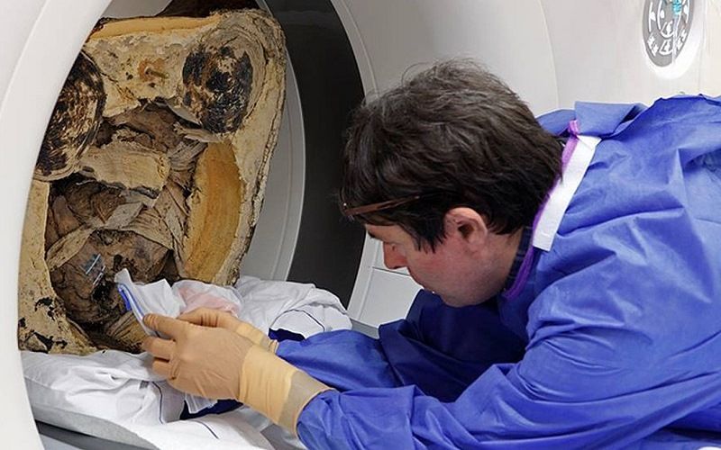 Мумия внутри статуи