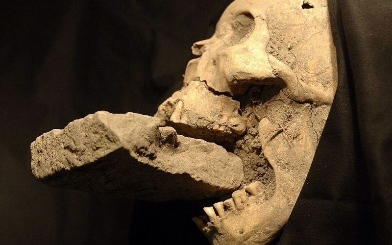 Череп с кирпичом во рту