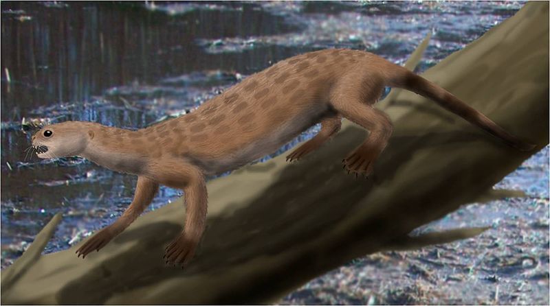 Пуйила – житель доледникового периода