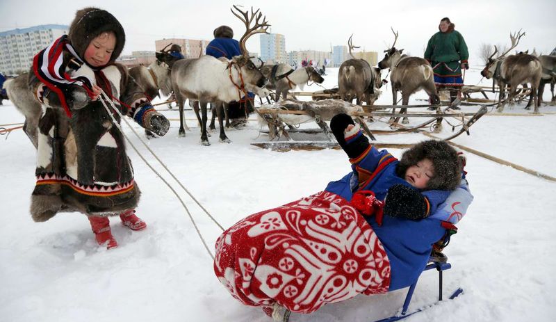 Ненцы (Россия)