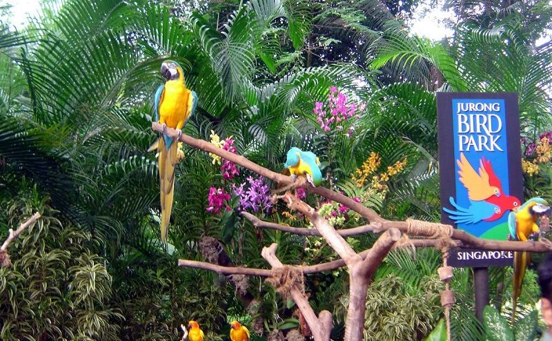 Парк птиц в Сигнапуре