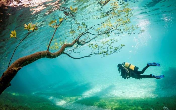 Зеленое озеро