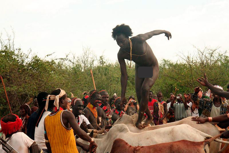 Посвящение юноши в мужчину в племени Хамар