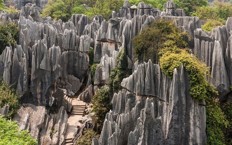 Каменный лес Шилинь (Китай)