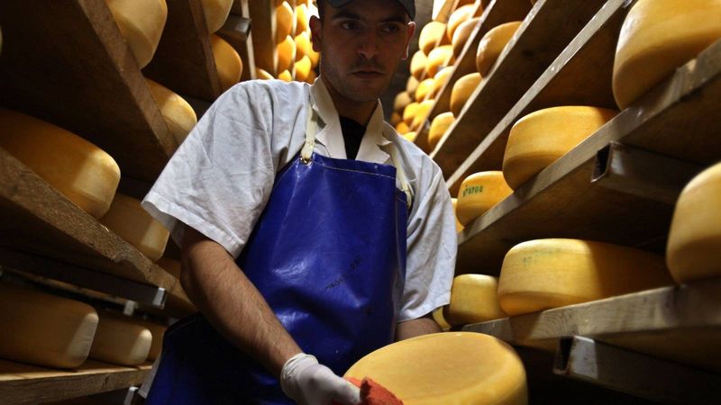 Слушатель сыра