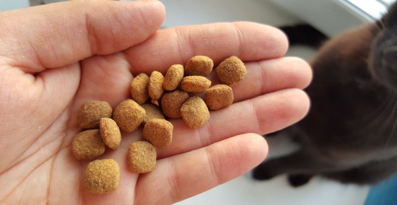 Дегустатор кошачьего и собачьего корма