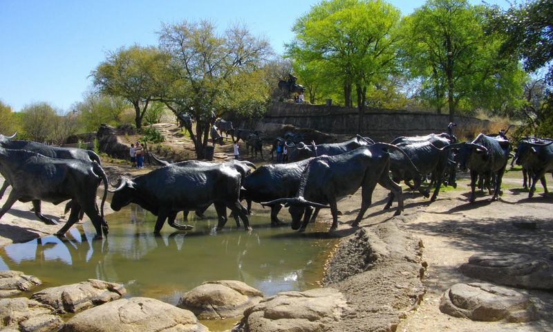 Cattle-Drive (Перегон скота)