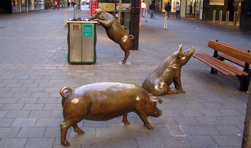 Поросята около торгового комплекса Rundle Mall