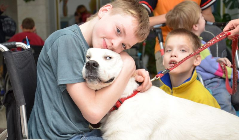 Канистерапия