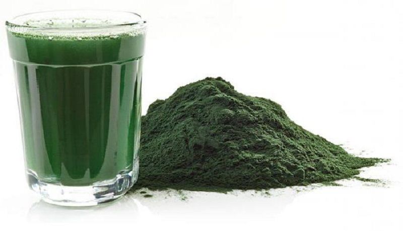 Одноклеточная водоросль хлорелла