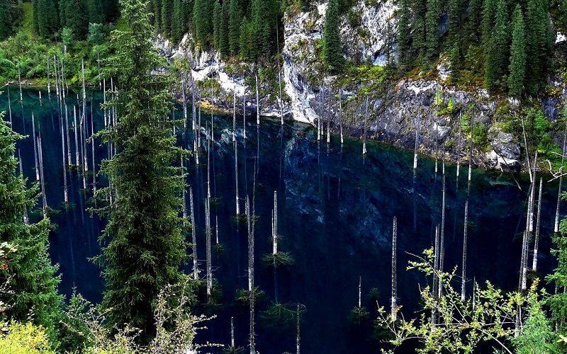 Лес под водой озера Каинды