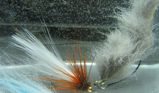 Вабик в воде