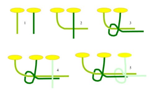 Венок из цветов на голову
