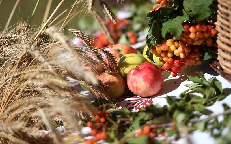 Яблоки и пшеница