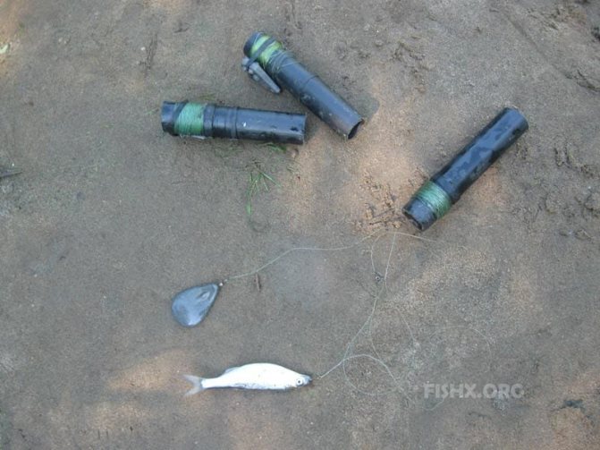 Живцовая донка