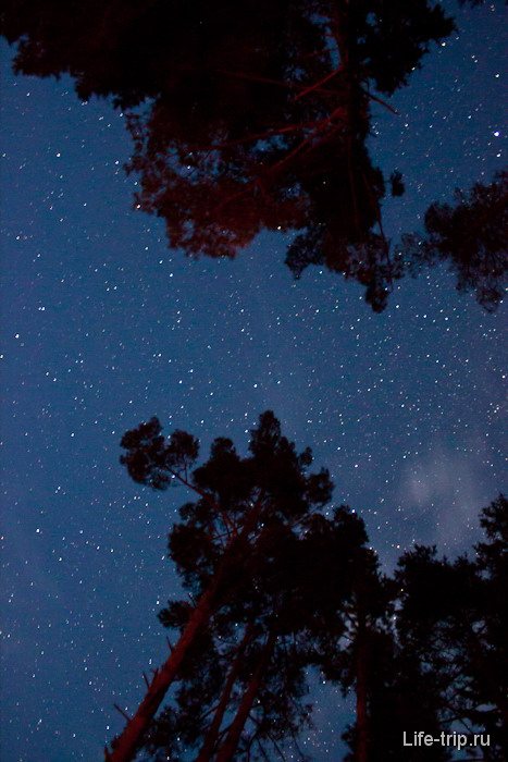 Звездное небо в августе.